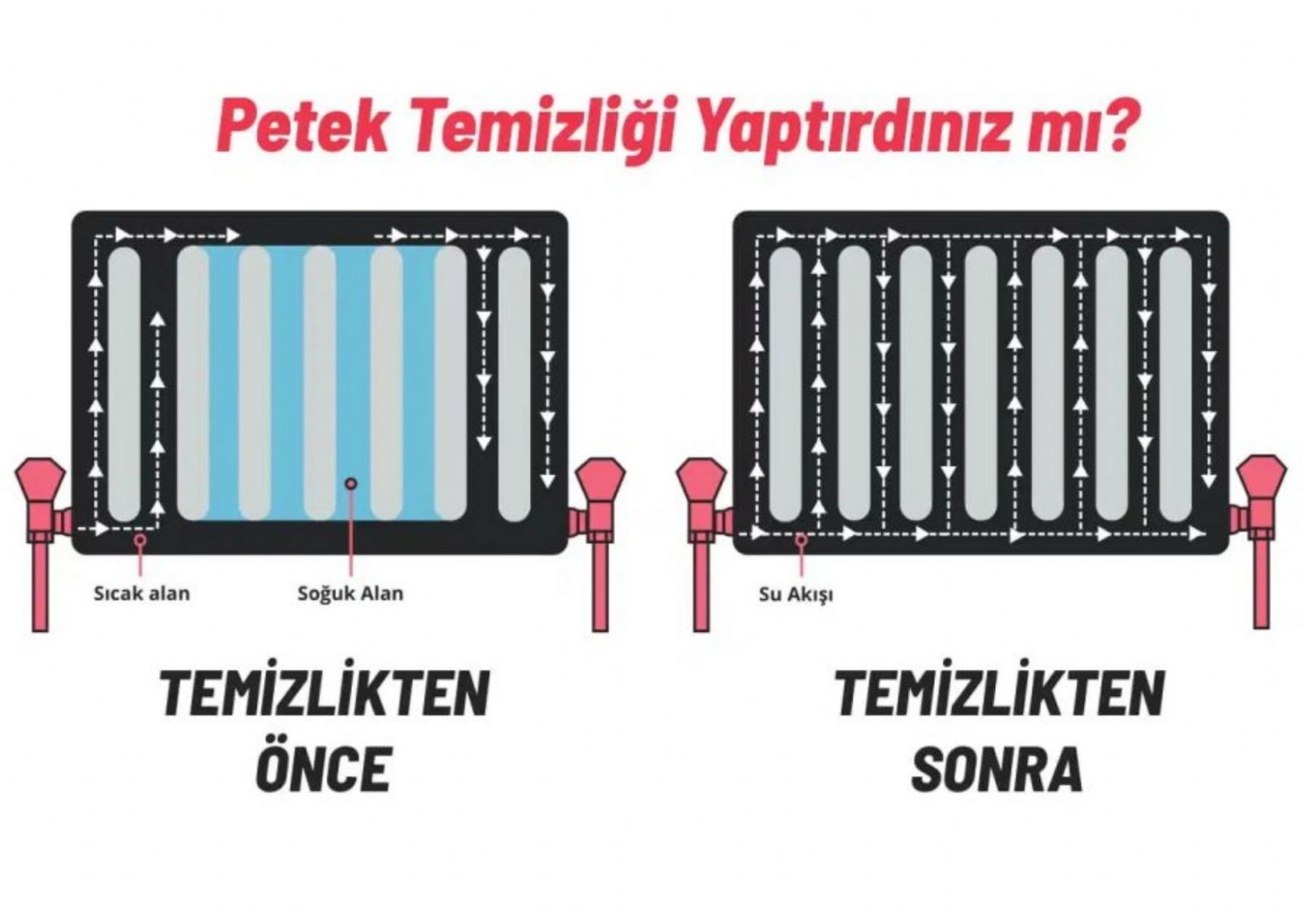  Kastamonu Petek Temizleme